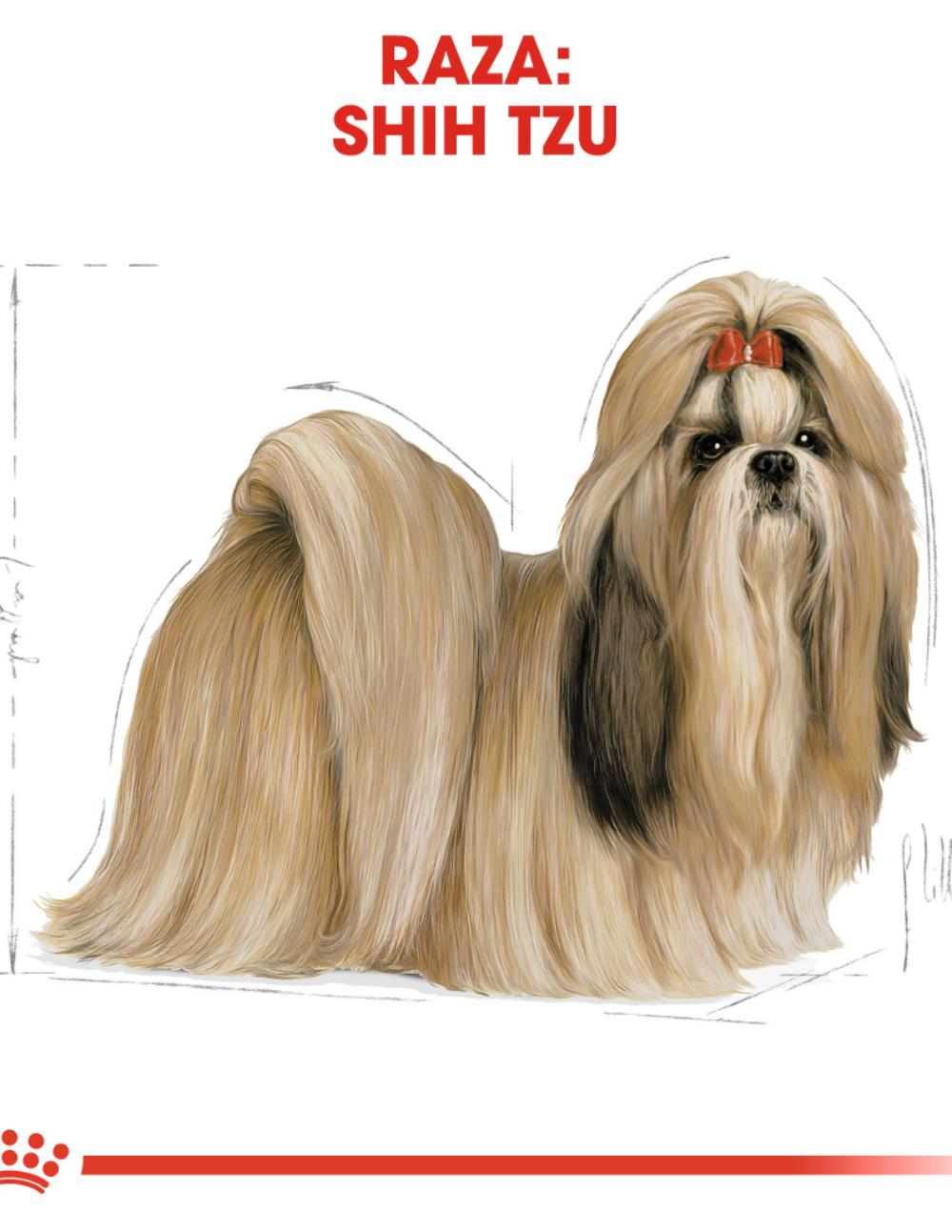 paratumascota.shop - Perros - Alimentacin - ROYAL CANIN SHIH TZU - Foto 4