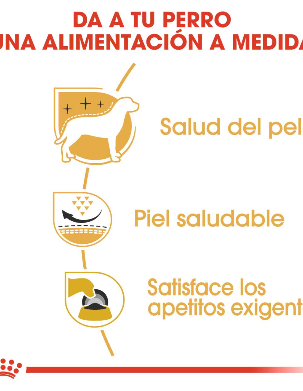 paratumascota.shop - Perros - Alimentacin - ROYAL CANIN WHITE TERRIER - Foto 3