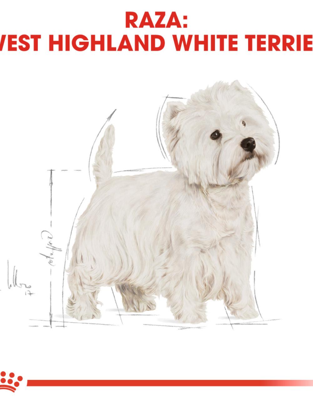 paratumascota.shop - Perros - Alimentacin - ROYAL CANIN WHITE TERRIER - Foto 4