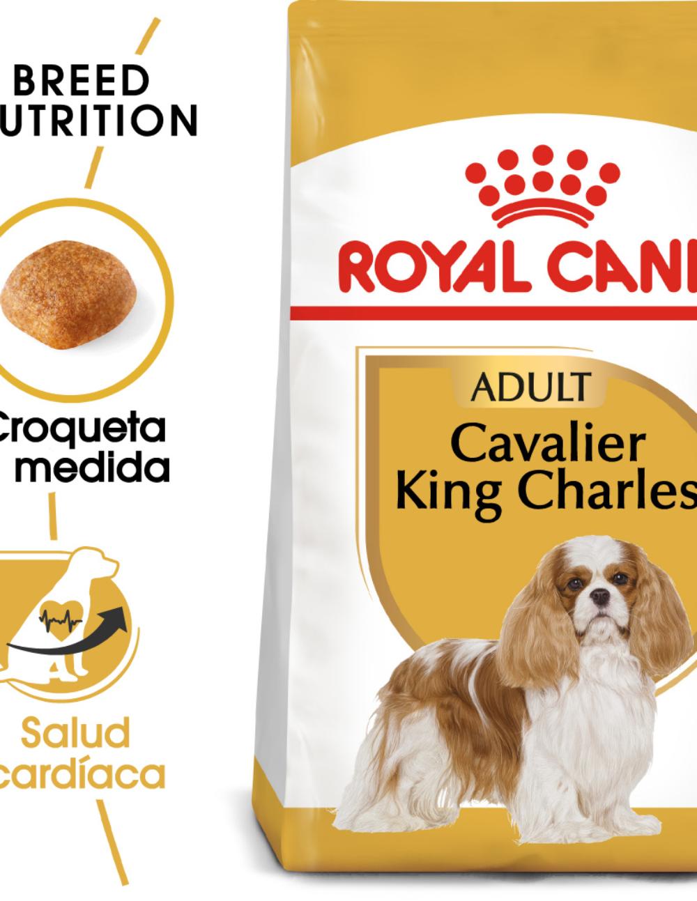 paratumascota.shop - Perros - Alimentacin - ROYAL CANIN CAVALIER KING CHARLES (3KG) - Foto 2