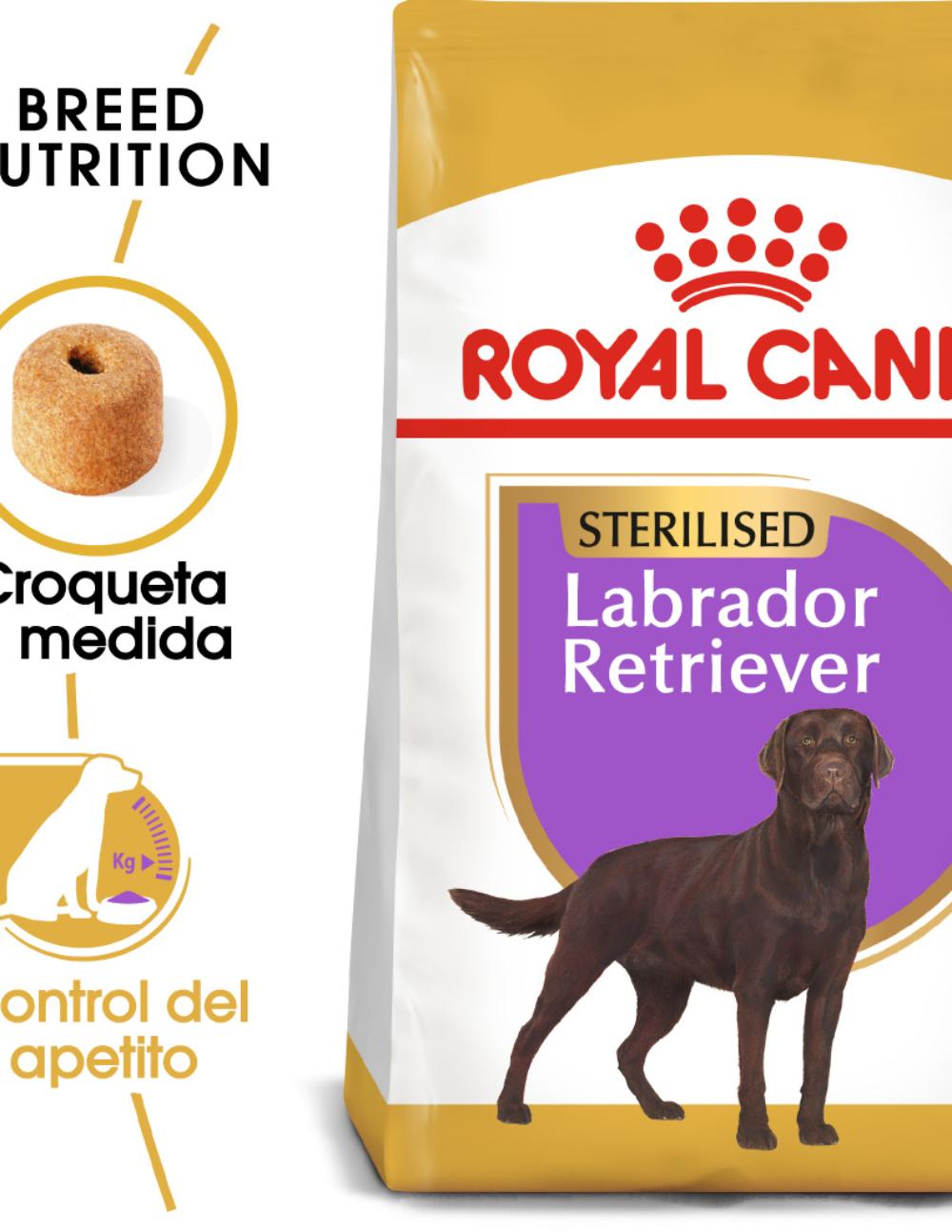 paratumascota.shop - Perros - Alimentacin - ROYAL CANIN LABRADOR RETRIEVER (ESTERILIZADO) 12KG - Foto 2