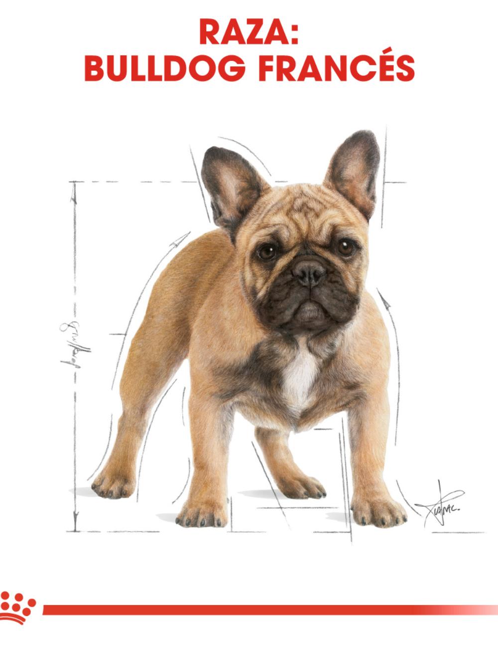 paratumascota.shop - Perros - Alimentacin - ROYAL CANIN BULLDOG FRANCS 9KG - Foto 4