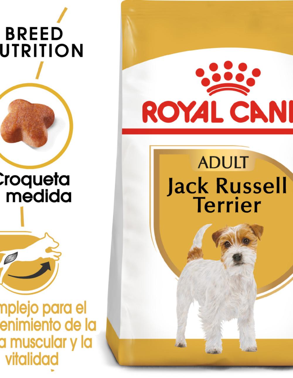 paratumascota.shop - Perros - Alimentacin - ROYAL CANIN JACK RUSSELL TERRIER - Foto 2