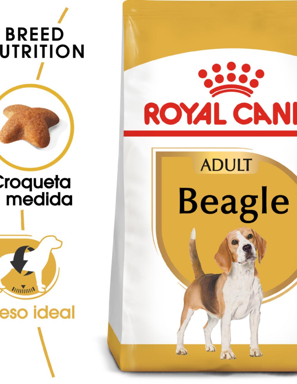 paratumascota.shop - Perros - Alimentacin - ROYAL CANIN BEAGLE - Foto 2