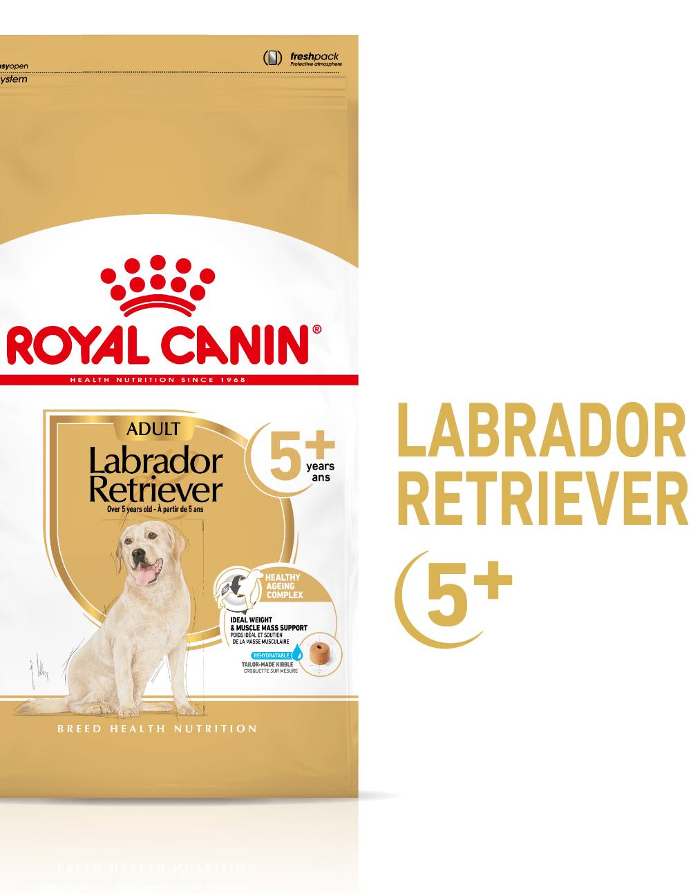 paratumascota.shop - Perros - Alimentacin - ROYAL CANIN LABRADOR RETRIEVER +5 (12KG) - Foto 2