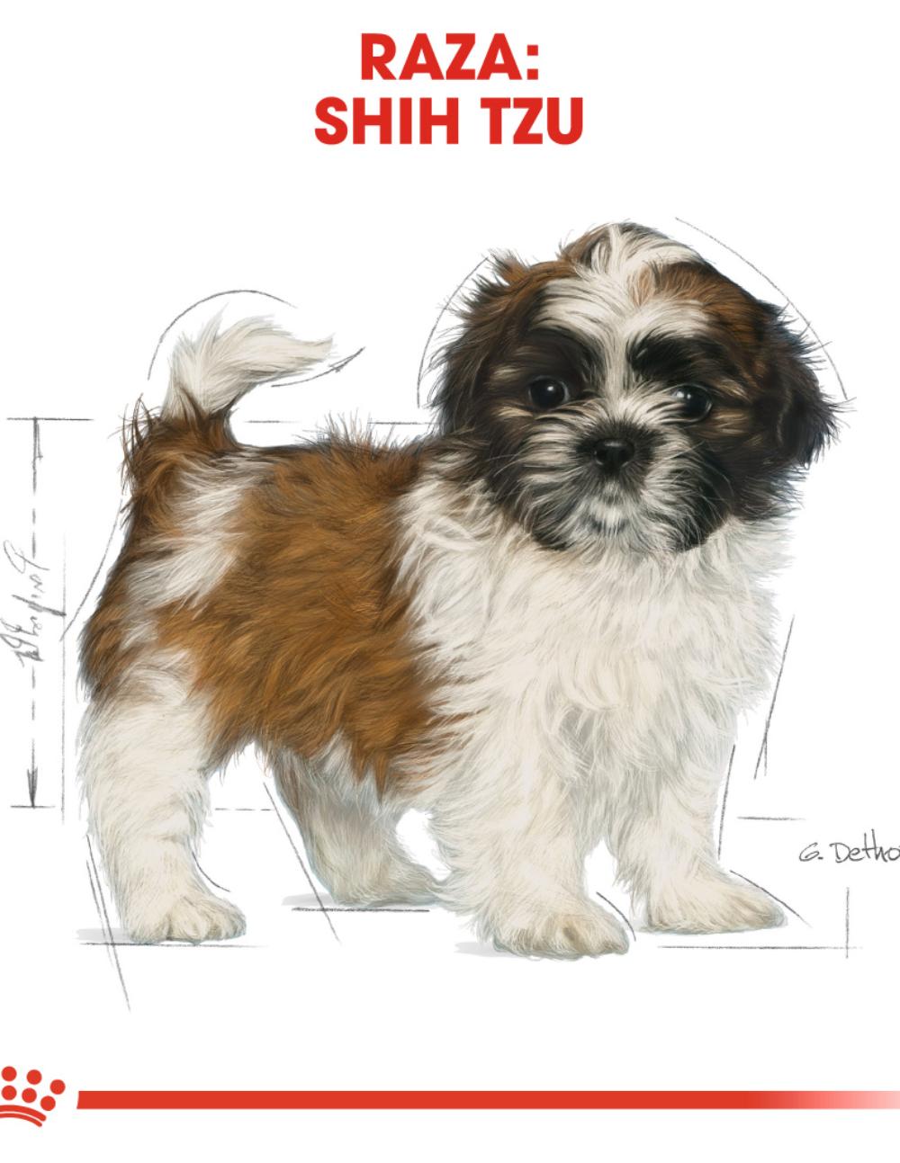 paratumascota.shop - Perros - Alimentacin - ROYAL CANIN SHIH TZU PUPPY (1.5KG) - Foto 4