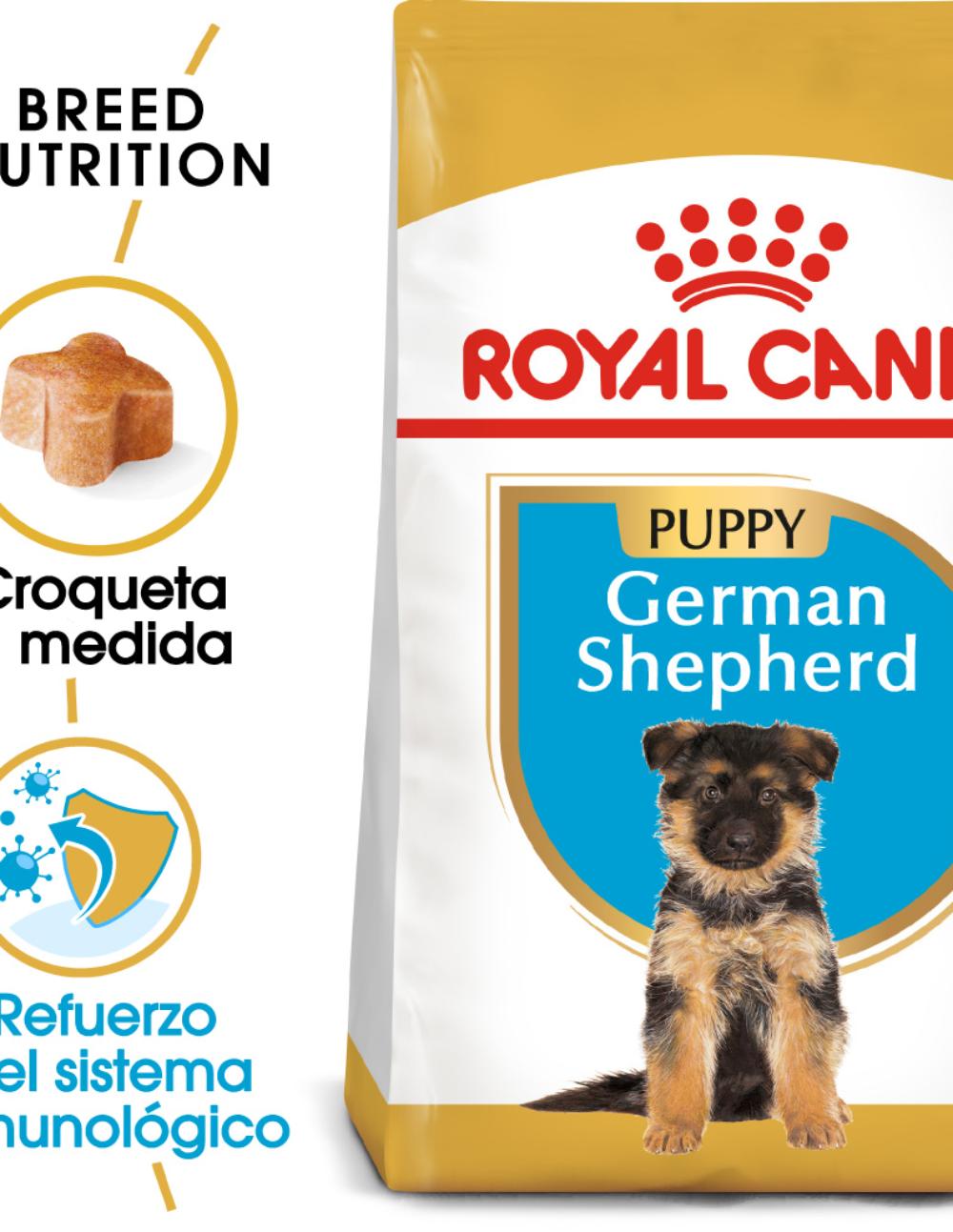 paratumascota.shop - Perros - Alimentacin - ROYAL CANIN PASTOR ALEMAN JUNIOR (12KG) - Foto 2