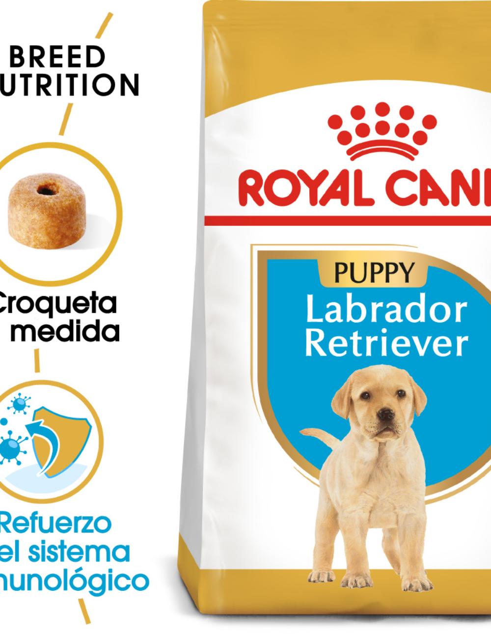 paratumascota.shop - Perros - Alimentacin - ROYAL CANIN LABRADOR RETRIEVER JUNIOR - Foto 2