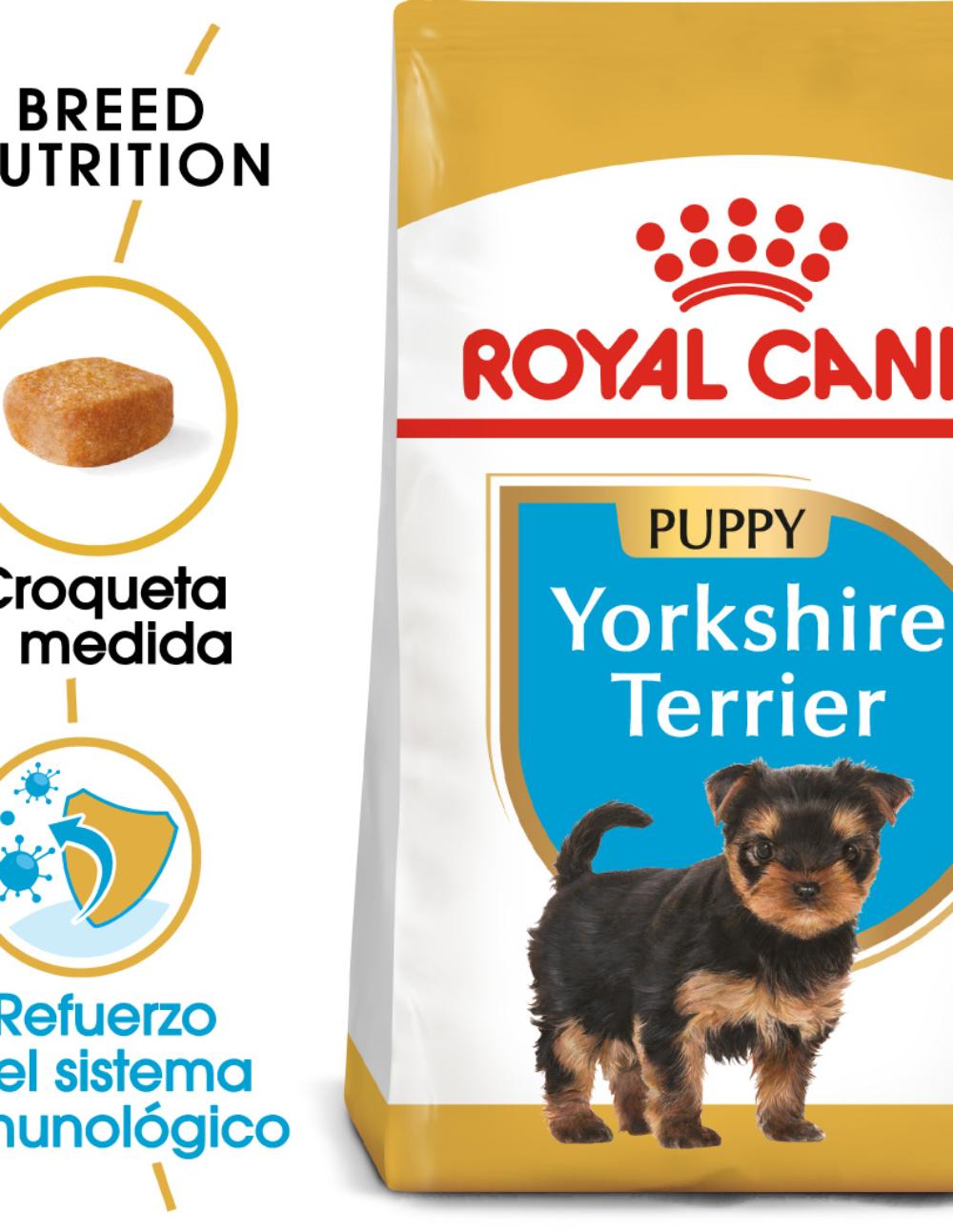 paratumascota.shop - Perros - Alimentacin - ROYAL CANIN YORKSHIRE TERRIER PUPPY - Foto 2