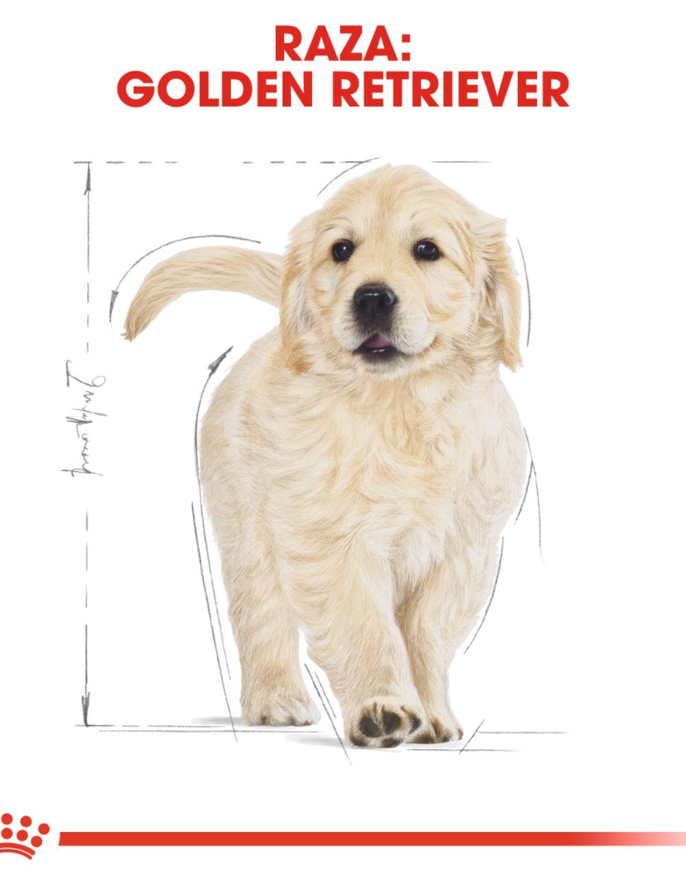 paratumascota.shop - Perros - Alimentacin - ROYAL CANIN GOLDEN RETRIEVER PUPPY (12KG) - Foto 4