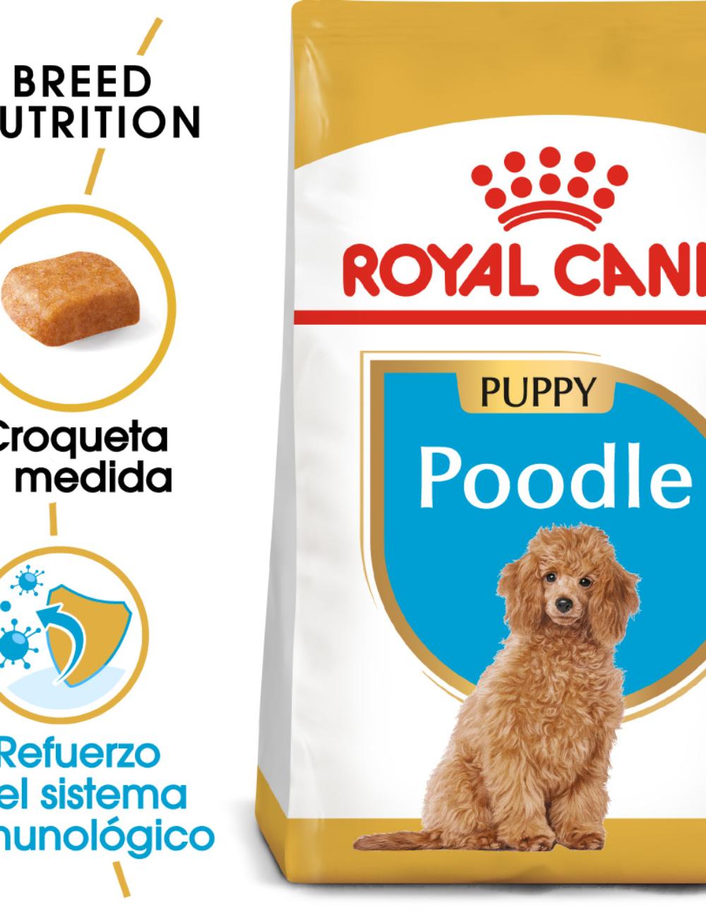 paratumascota.shop - Perros - Alimentacin - ROYAL CANIN CANICHE PUPPY (7,5KG) - Foto 2