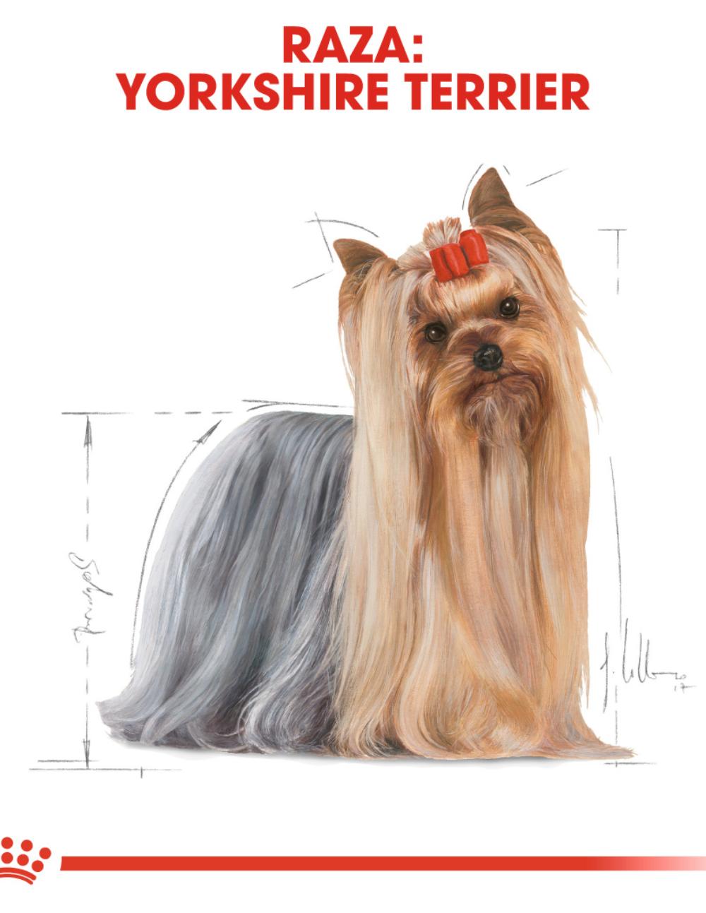 paratumascota.shop - Perros - Alimentacin - YORKSHIRE TERRIER PAT - Foto 4