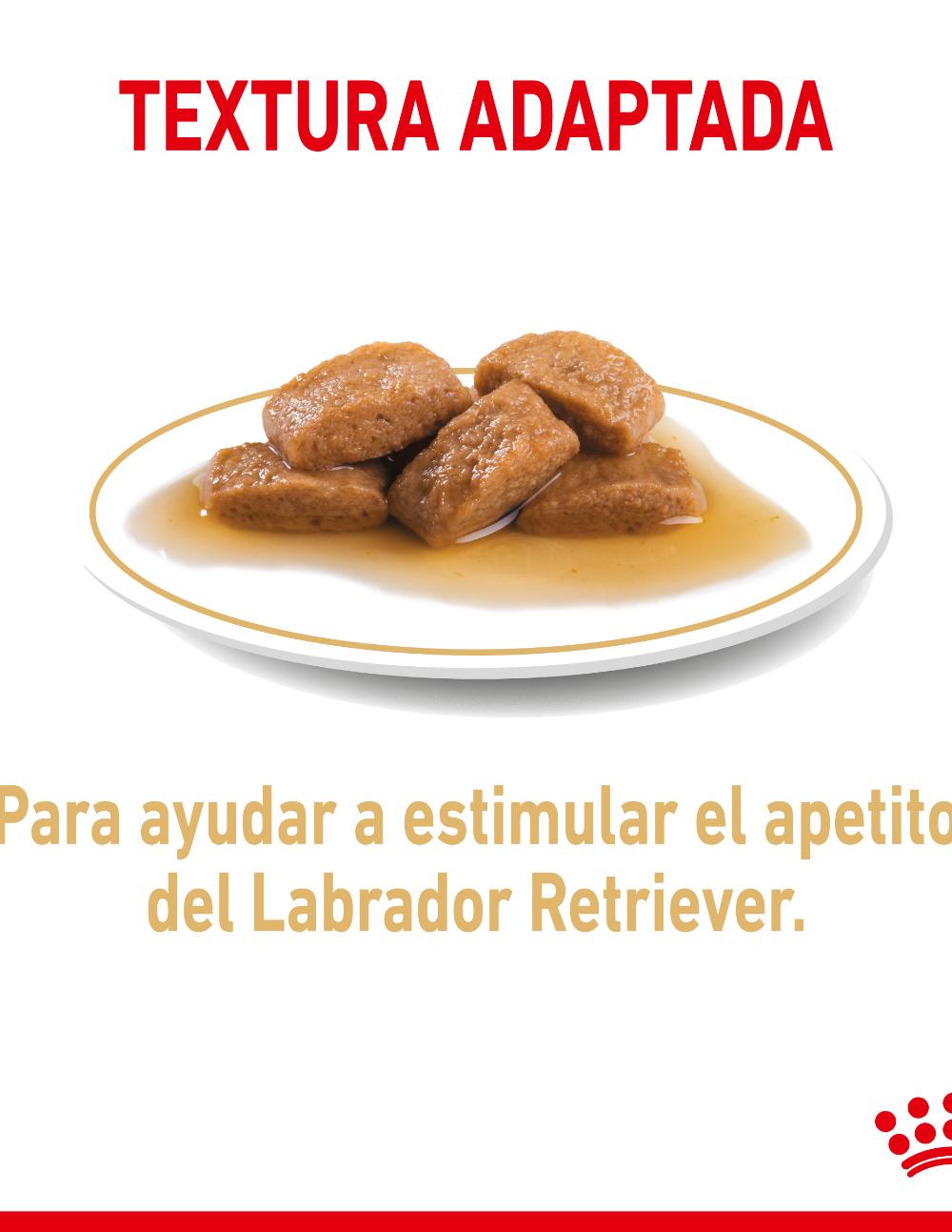 paratumascota.shop - Perros - Alimentacin - ROYAL CANIN LABRADOR COMIDA EN SALSA - Foto 4