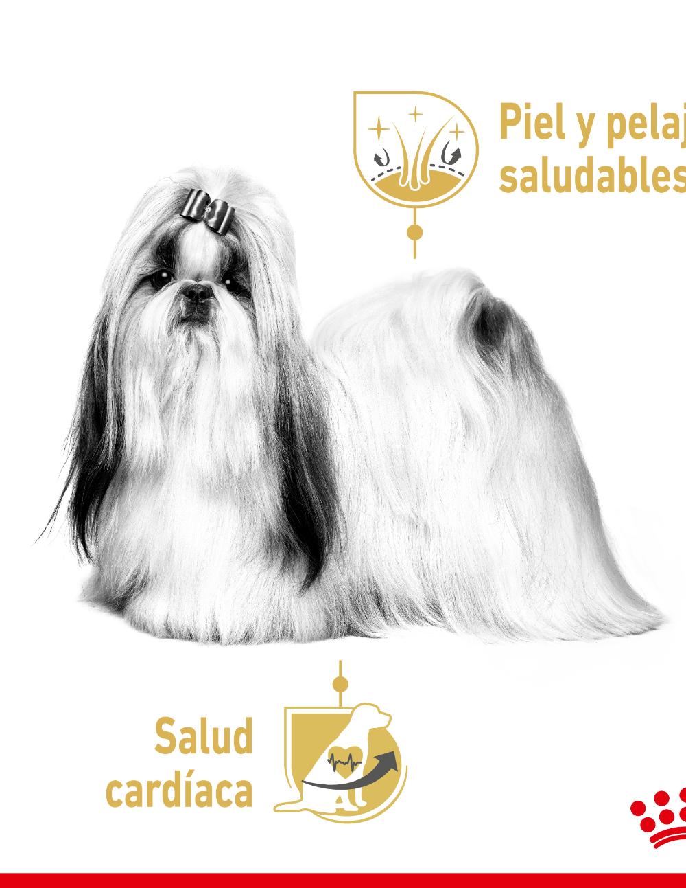 paratumascota.shop - Perros - Alimentacin - ROYAL CANIN SHIH TZU PAT - Foto 4