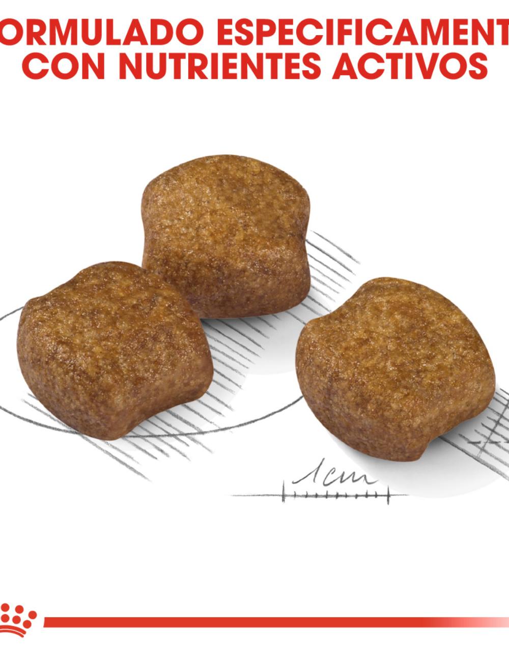 paratumascota.shop - Perros - Alimentacin - ROYAL CANIN DENTAL CARE MEDIUM 10KG - Foto 4