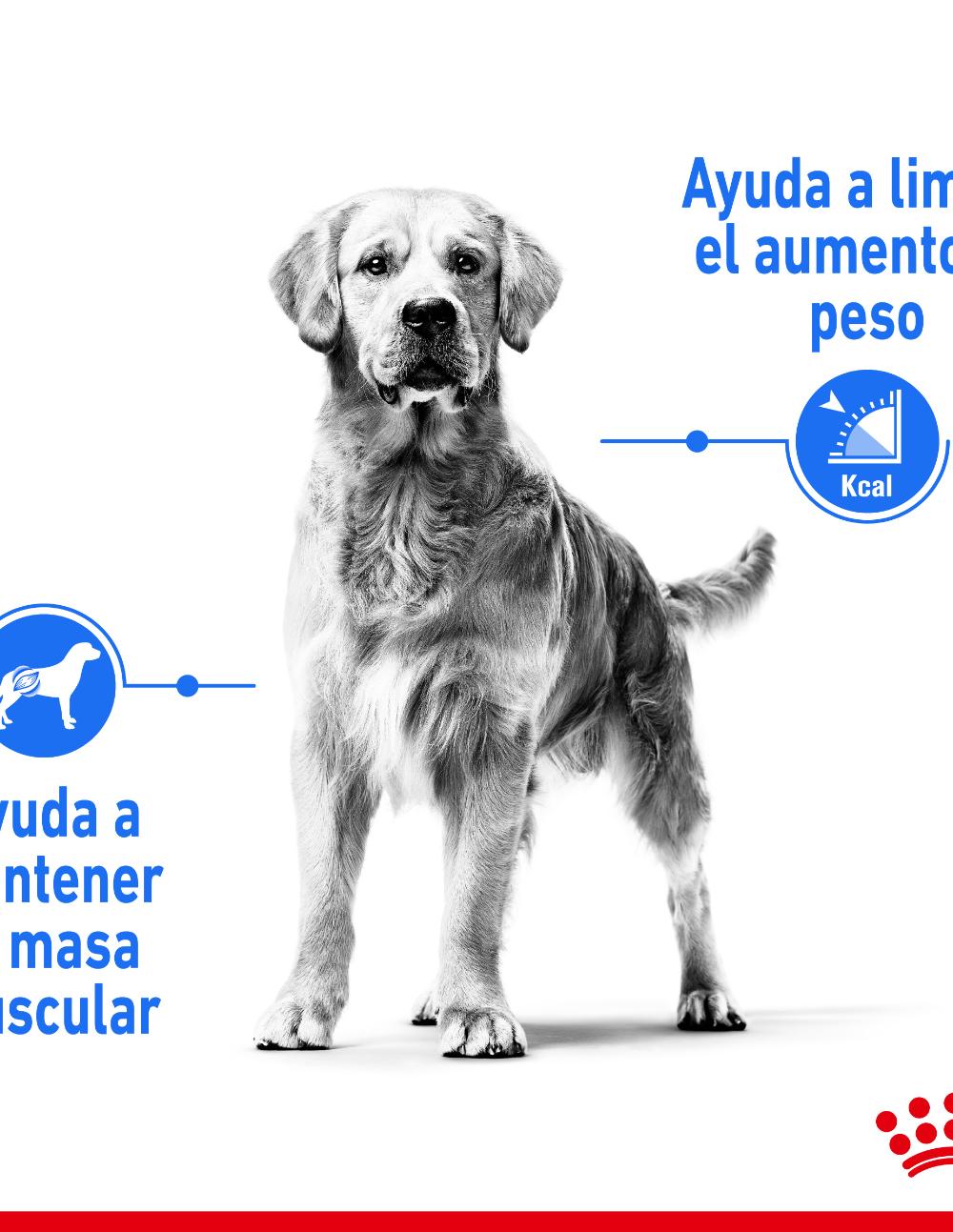 paratumascota.shop - Perros - Alimentacin - ROYAL CANIN LIGHT WEIGHT MAXI (12KG) - Foto 3