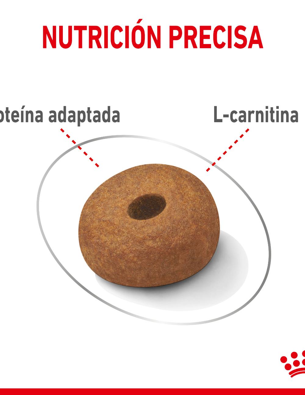 paratumascota.shop - Perros - Alimentacin - ROYAL CANIN LIGHT WEIGHT MAXI (12KG) - Foto 4