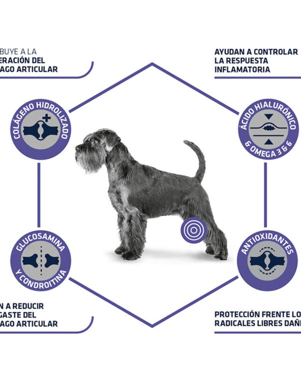 paratumascota.shop - Perros - Alimentacin - ADVANCE ARTICULAR REDUCED CALORIE - Foto 2