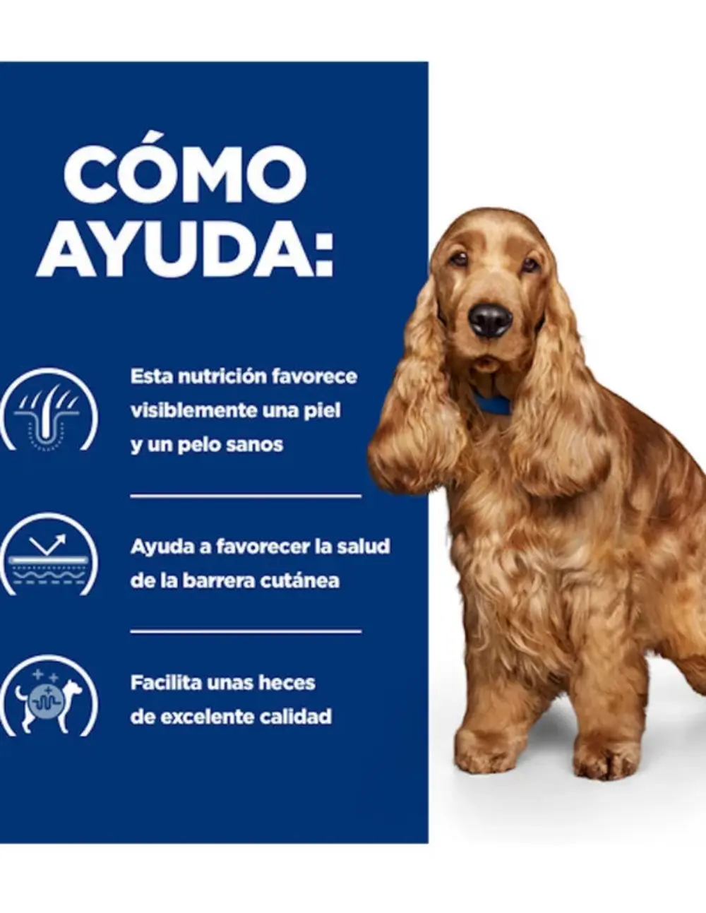 paratumascota.shop - Perros - Alimentacin - HILL'S PRESCRIPTION DIET FOOD SENSITIVES PIENSO PARA PERROS - Foto 3