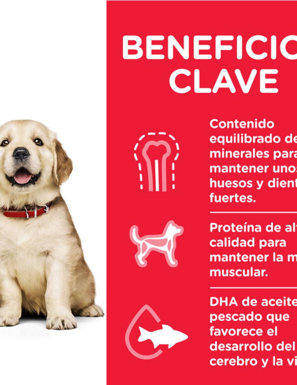 paratumascota.shop - Perros - Alimentacin - HILL'S SCIENCE PLAN PUPPY LARGE POLLO PIENSO PARA PERROS - Foto 2