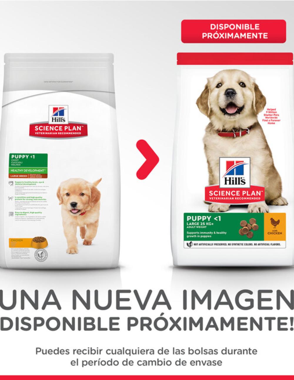 paratumascota.shop - Perros - Alimentacin - HILL'S SCIENCE PLAN PUPPY LARGE POLLO PIENSO PARA PERROS - Foto 3