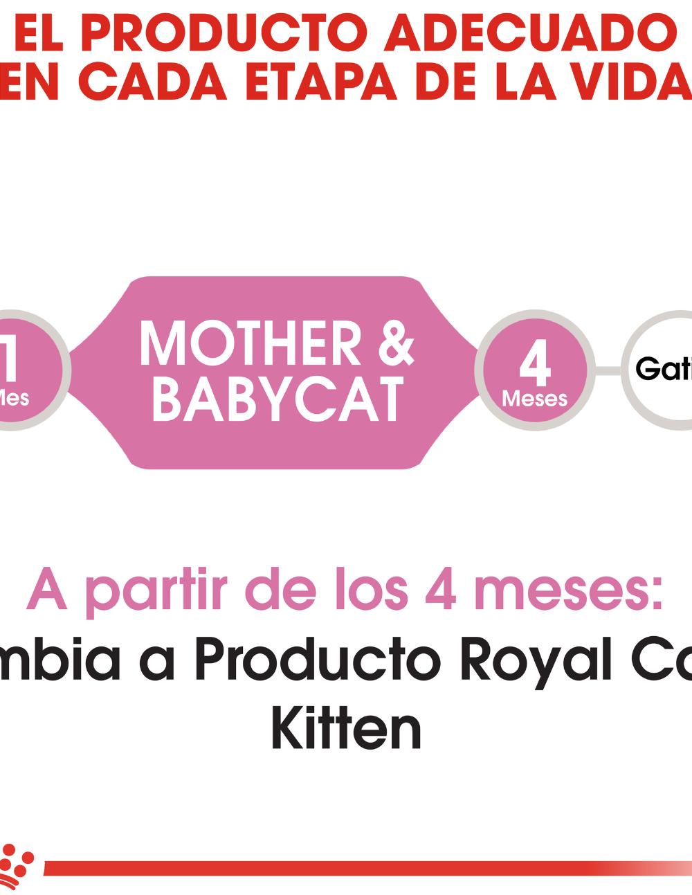 paratumascota.shop - Gatos - Alimentacin - ROYAL CANIN MOTHER & BABYCAT - Foto 2