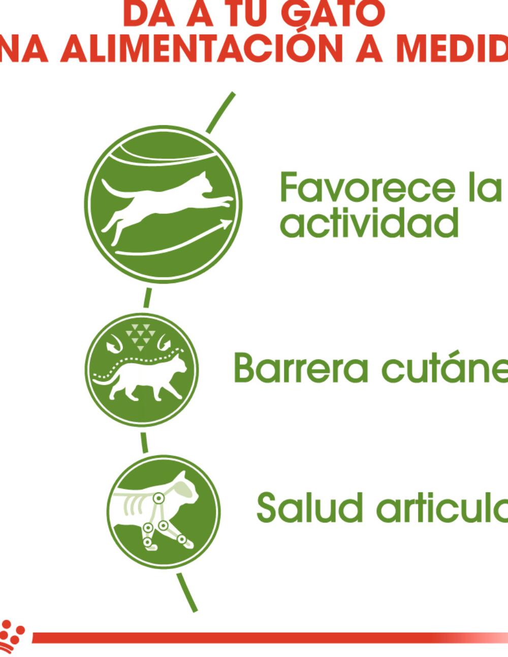 paratumascota.shop - Gatos - Alimentacin - ROYAL CANIN ACTIVE LIFE OUTDOOR 2KG - Foto 3