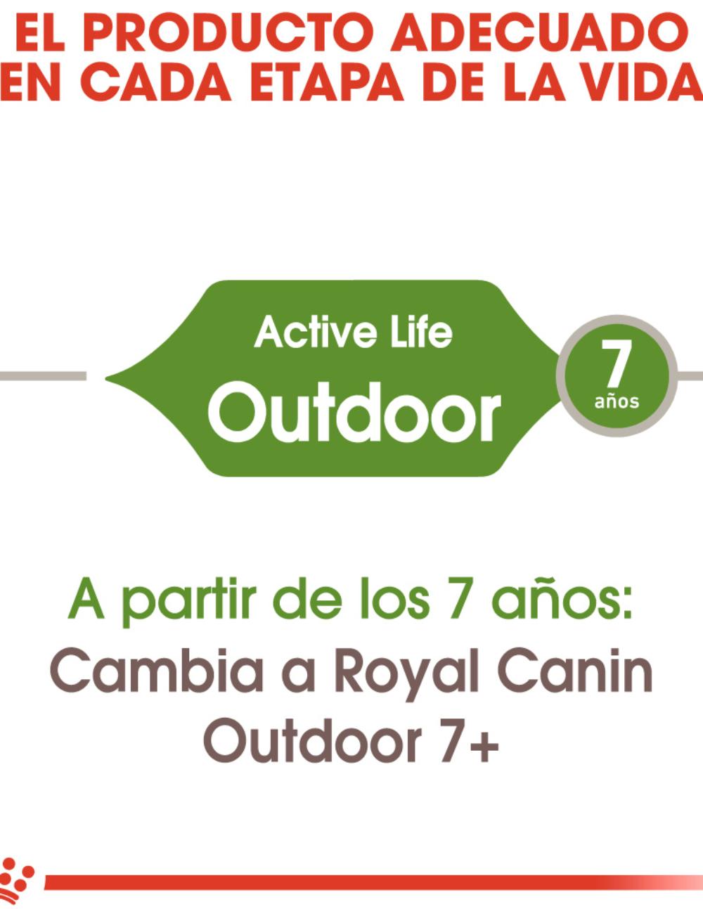 paratumascota.shop - Gatos - Alimentacin - ROYAL CANIN ACTIVE LIFE OUTDOOR 2KG - Foto 2