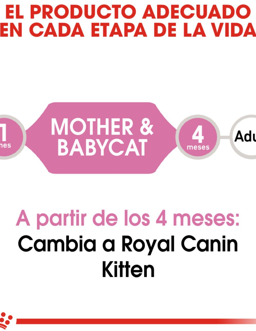 paratumascota.shop - Gatos - Alimentacin - ROYAL CANIN MOTHER & BABY MOUSSE 195GR - Foto 3