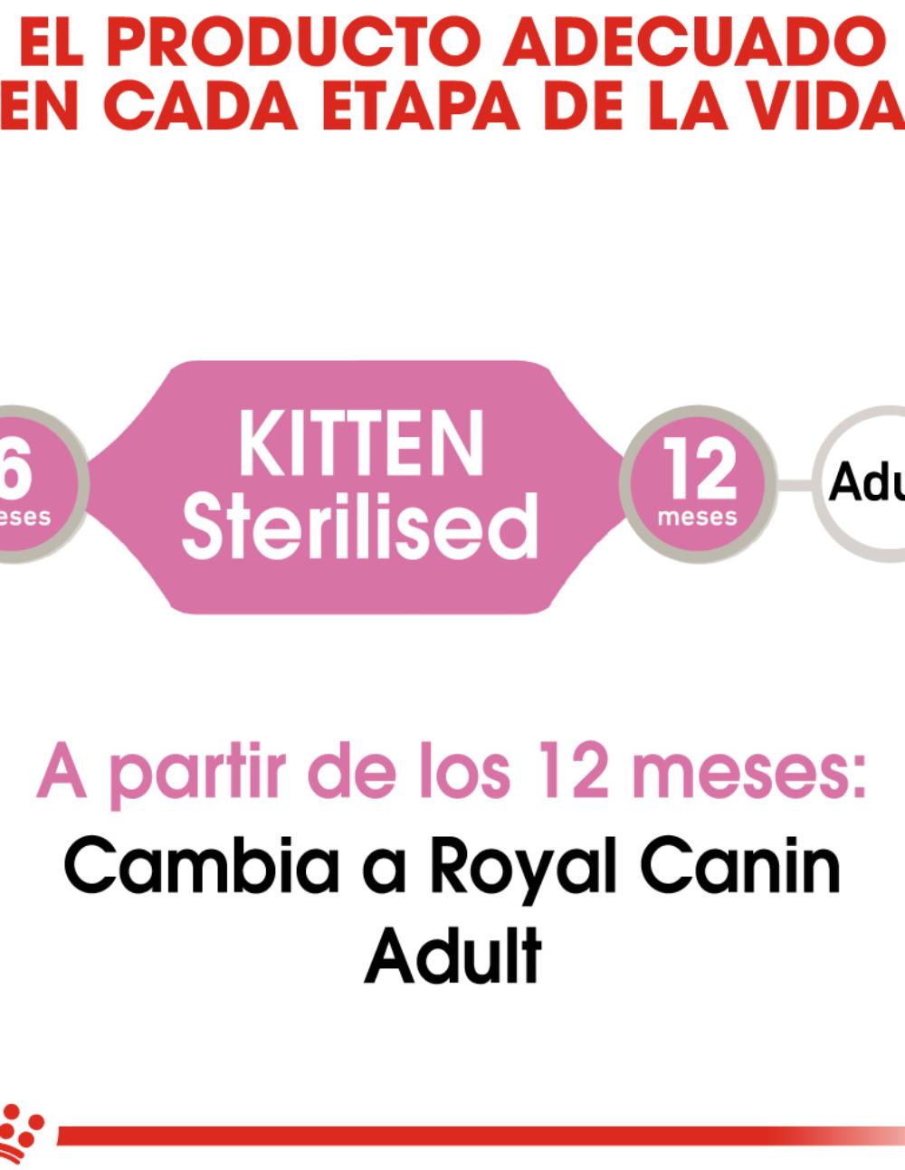 paratumascota.shop - Gatos - Alimentacin - ROYAL CANIN KITTEN STERILISED EN SALSA - Foto 2