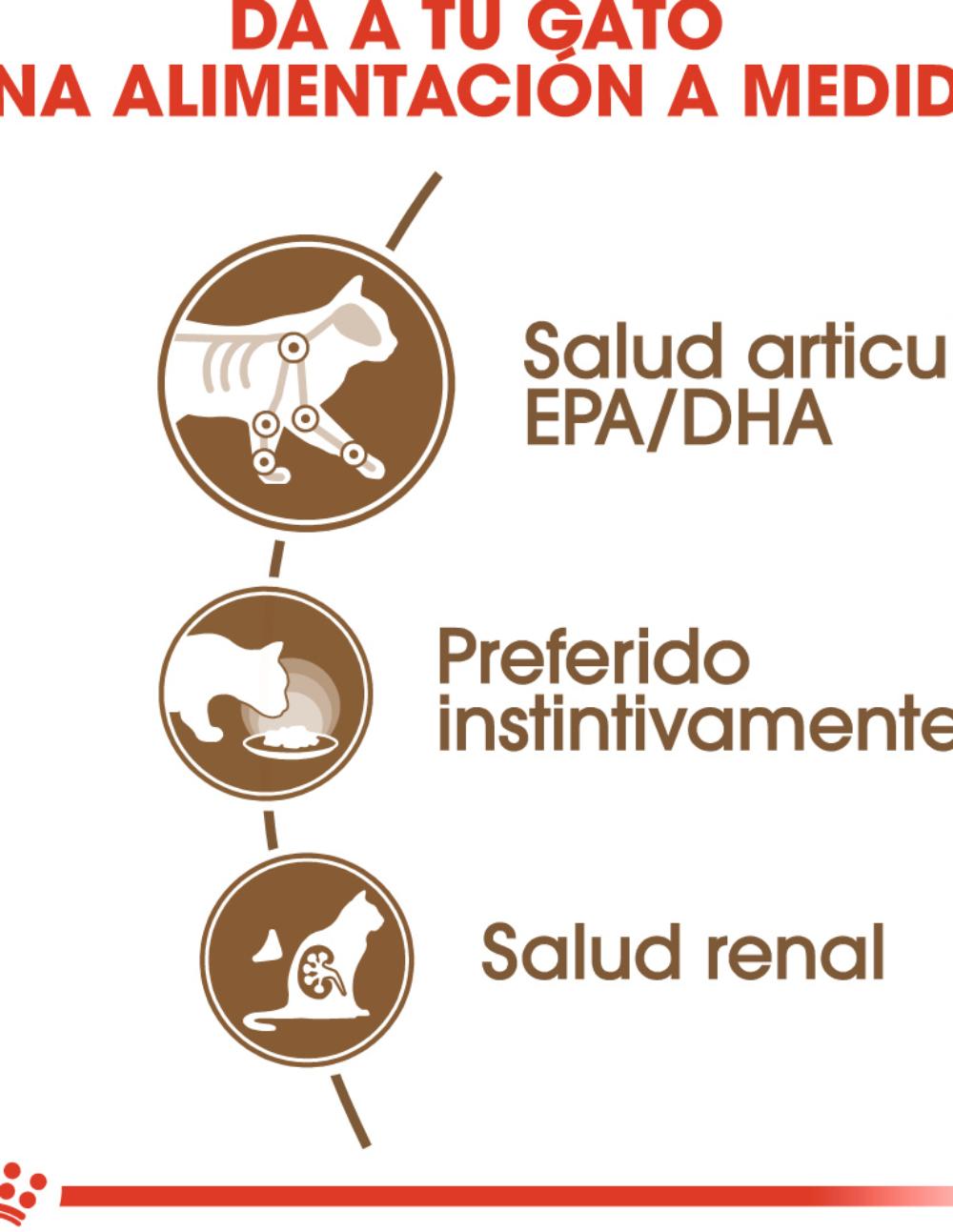 paratumascota.shop - Gatos - Alimentacin - ROYAL CANIN AGEING COMIDA HUMEDA EN SALSA - Foto 4