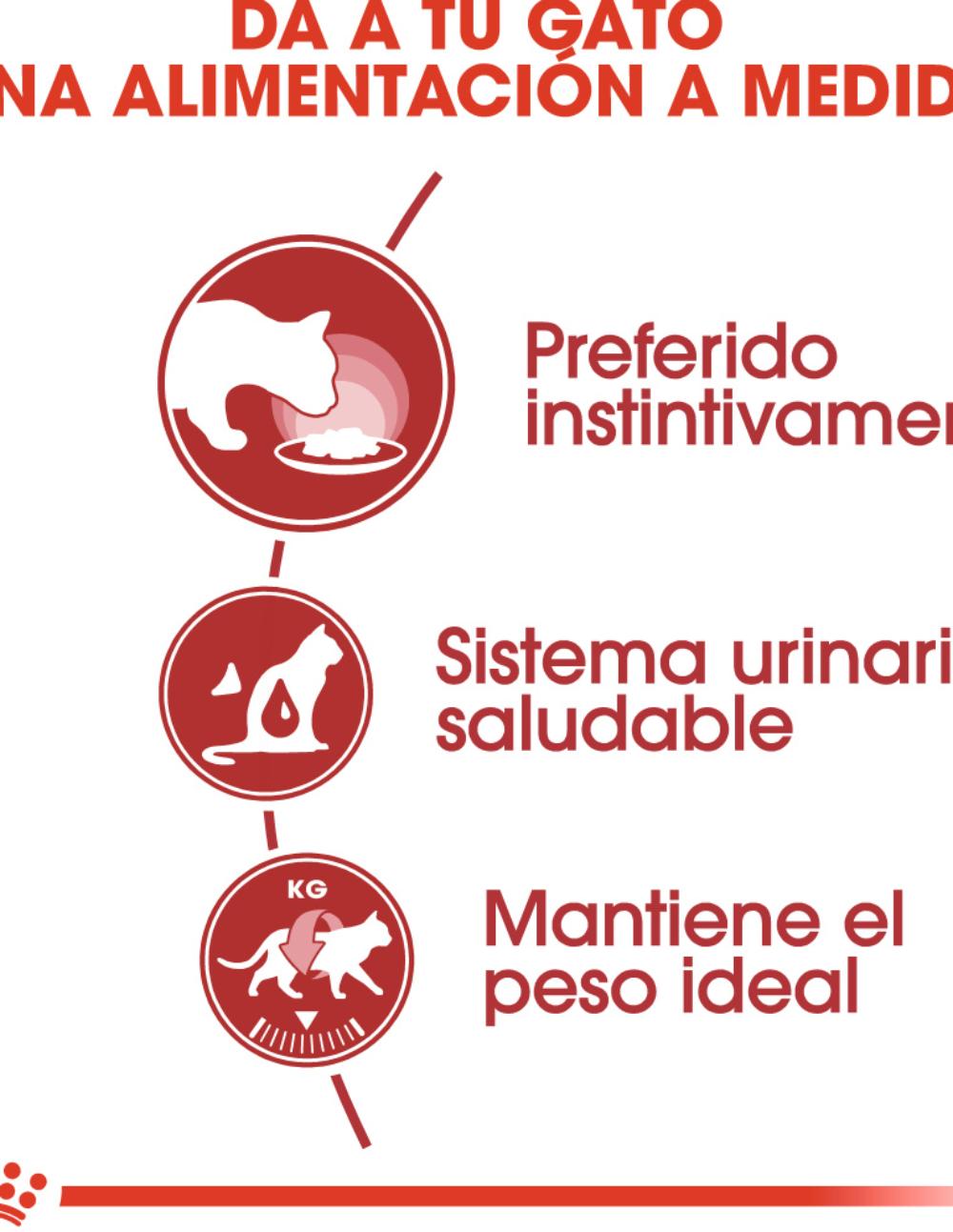 paratumascota.shop - Gatos - Alimentacin - ROYAL CANIN INSTICTIVE PATE - Foto 3