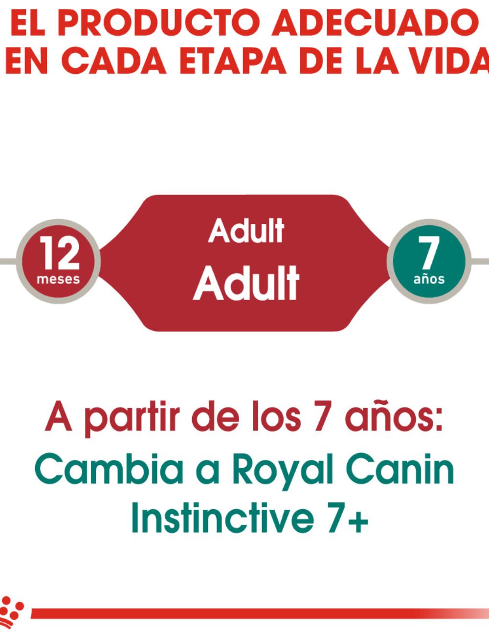 paratumascota.shop - Gatos - Alimentacin - ROYAL CANIN INSTICTIVE PATE - Foto 4