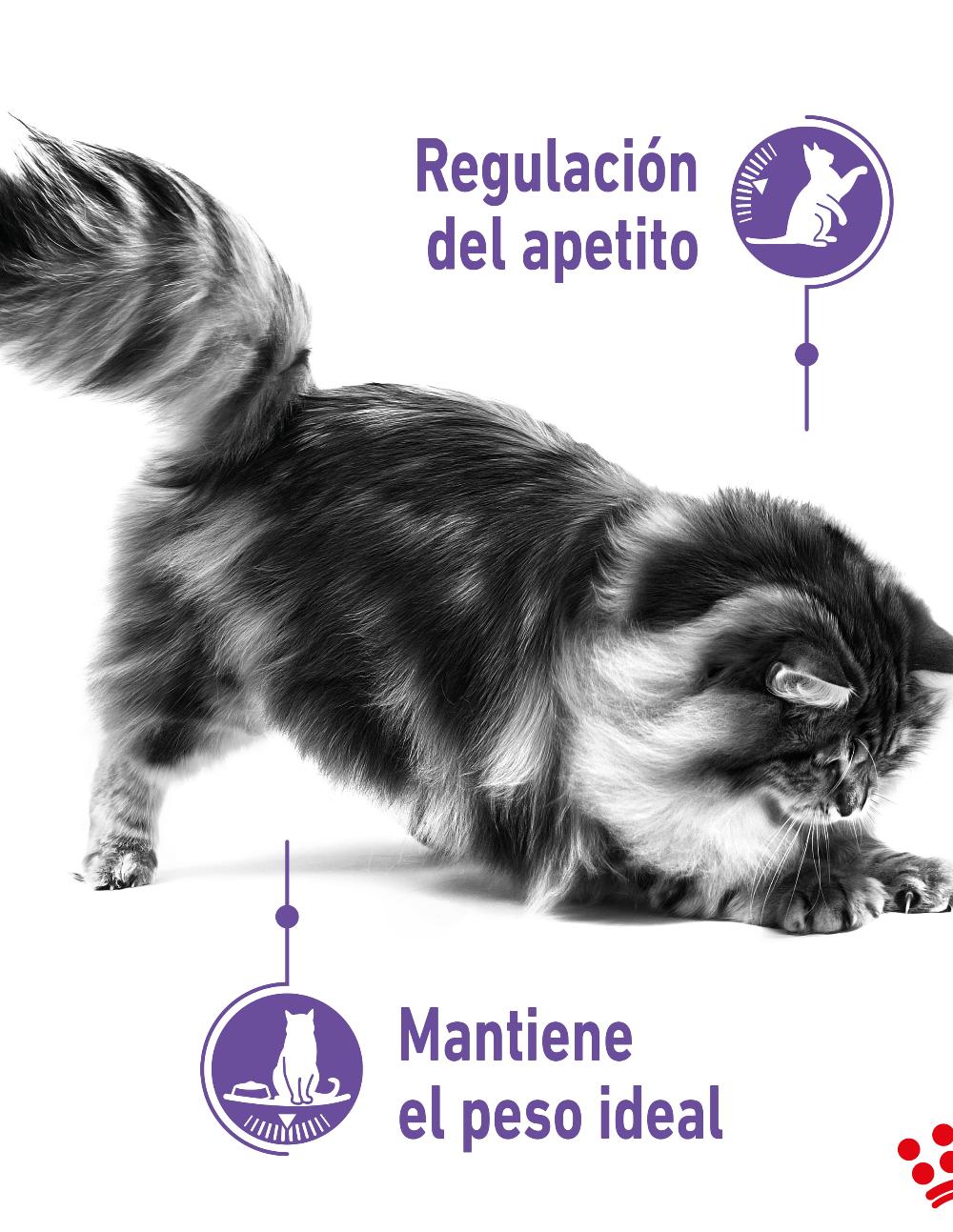 paratumascota.shop - Gatos - Alimentacin - ROYAL CANIN APPETITE CONTROL - Foto 4