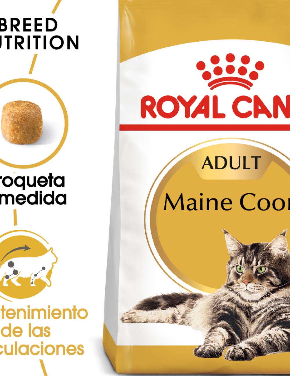 paratumascota.shop - Gatos - Alimentacin - ROYAL CANIN MAINE COON ADULT - Foto 2