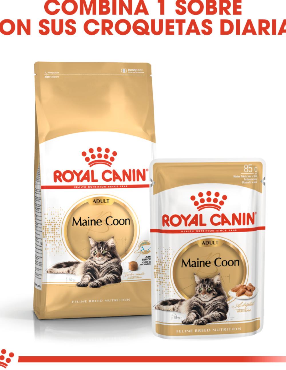 paratumascota.shop - Gatos - Alimentacin - ROYAL CANIN MAINE COON ADULT - Foto 3