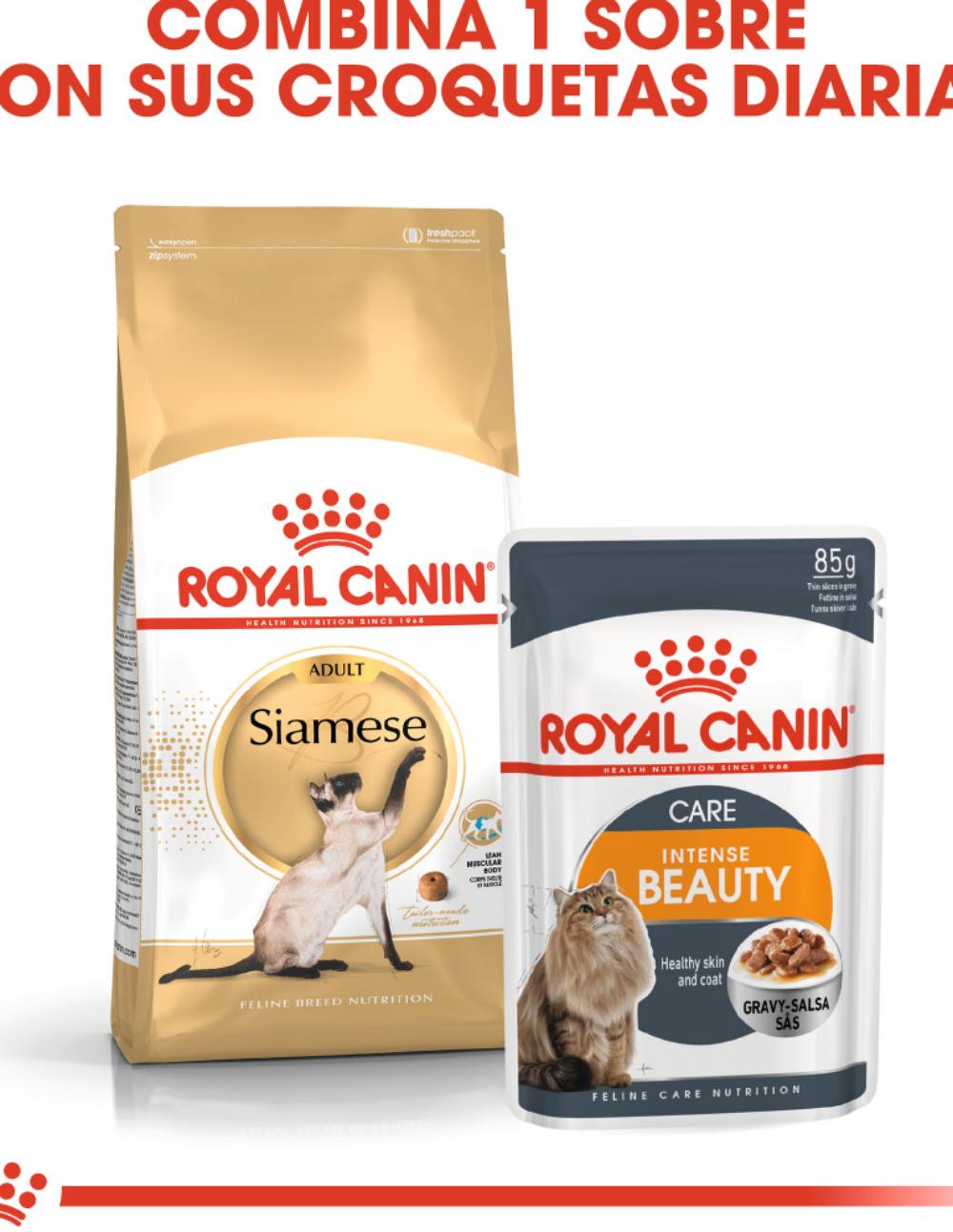 paratumascota.shop - Gatos - Alimentacin - ROYAL CANIN SIAMESE - Foto 4