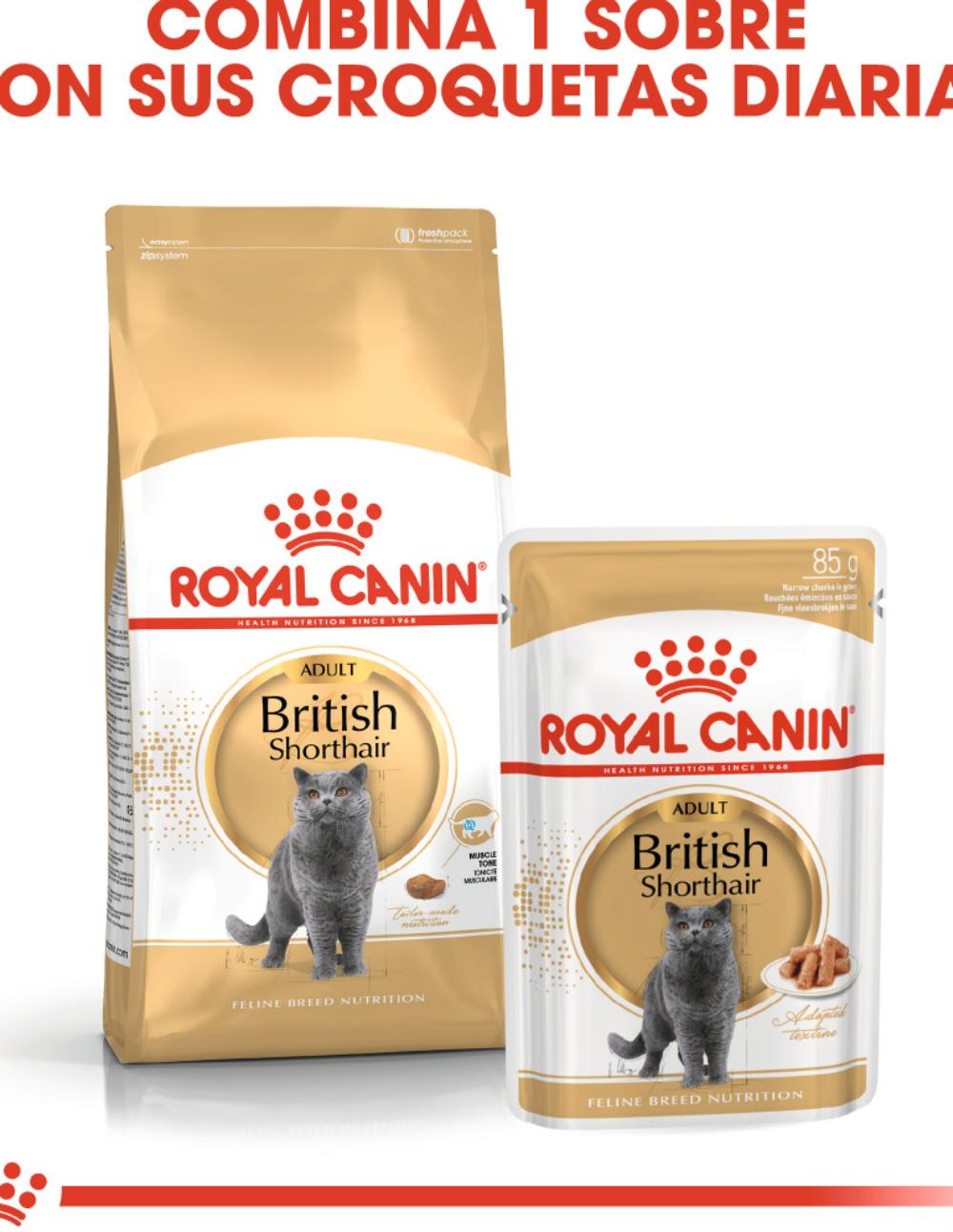 paratumascota.shop - Gatos - Alimentacin - ROYAL CANIN BRITISH - Foto 3