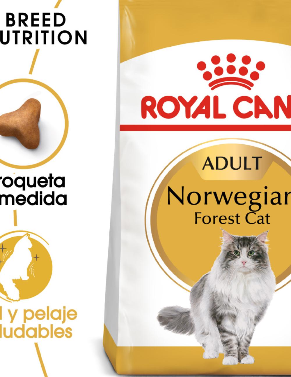 paratumascota.shop - Gatos - Alimentacin - ROYAL CANIN NORWEGIAN - Foto 2