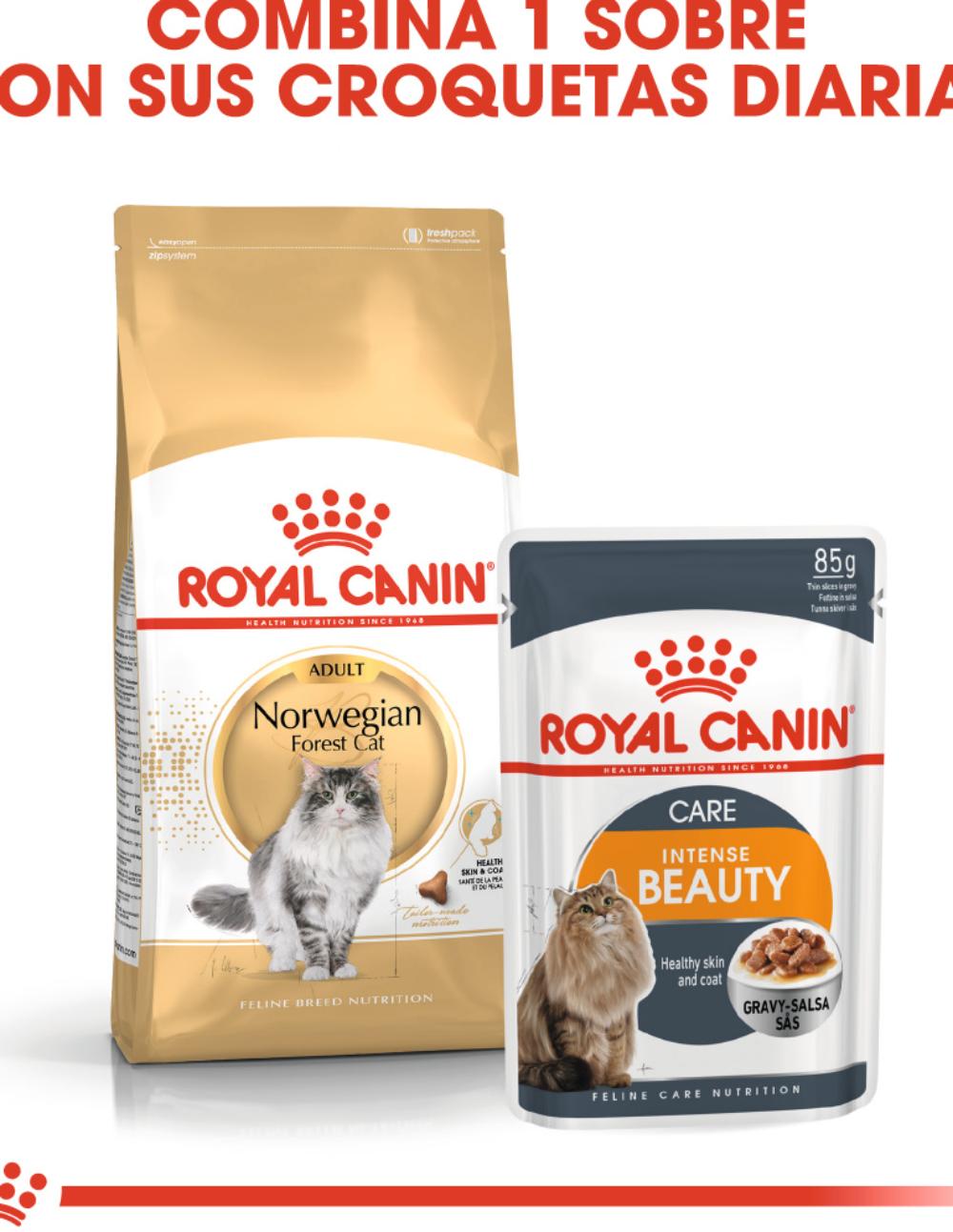 paratumascota.shop - Gatos - Alimentacin - ROYAL CANIN NORWEGIAN - Foto 3