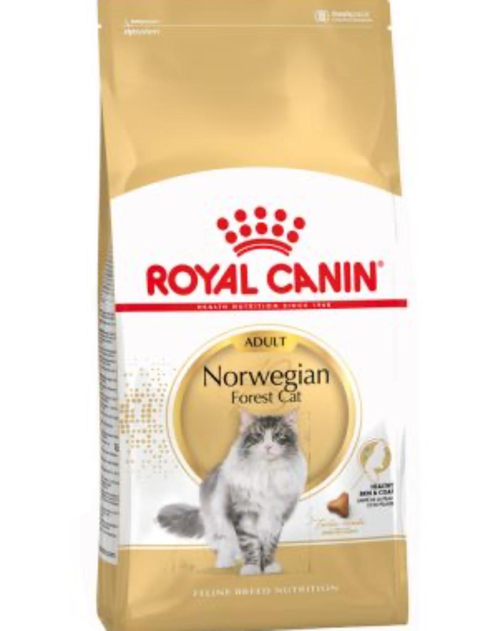 paratumascota.shop - Gatos - Alimentacin - ROYAL CANIN NORWEGIAN - Foto 1