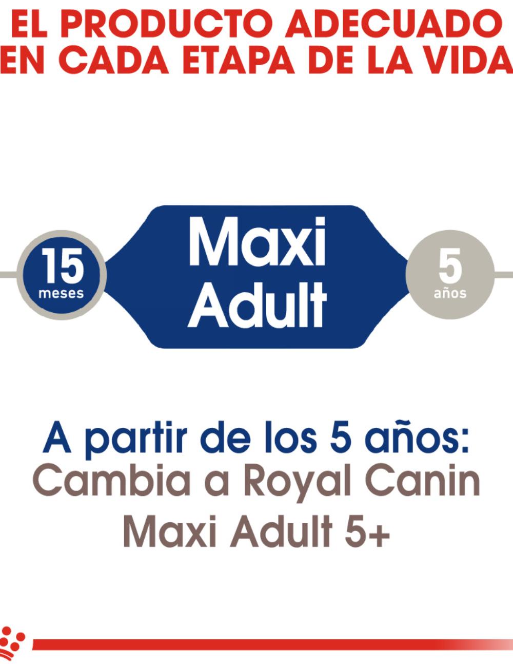 paratumascota.shop - Perros - Alimentacin - ROYAL CANIN MAXI ADULT - Foto 3