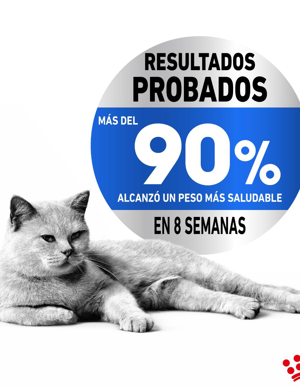 paratumascota.shop - Gatos - Alimentacin - ROYAL CANIN LIGHT WEIGHT - Foto 4