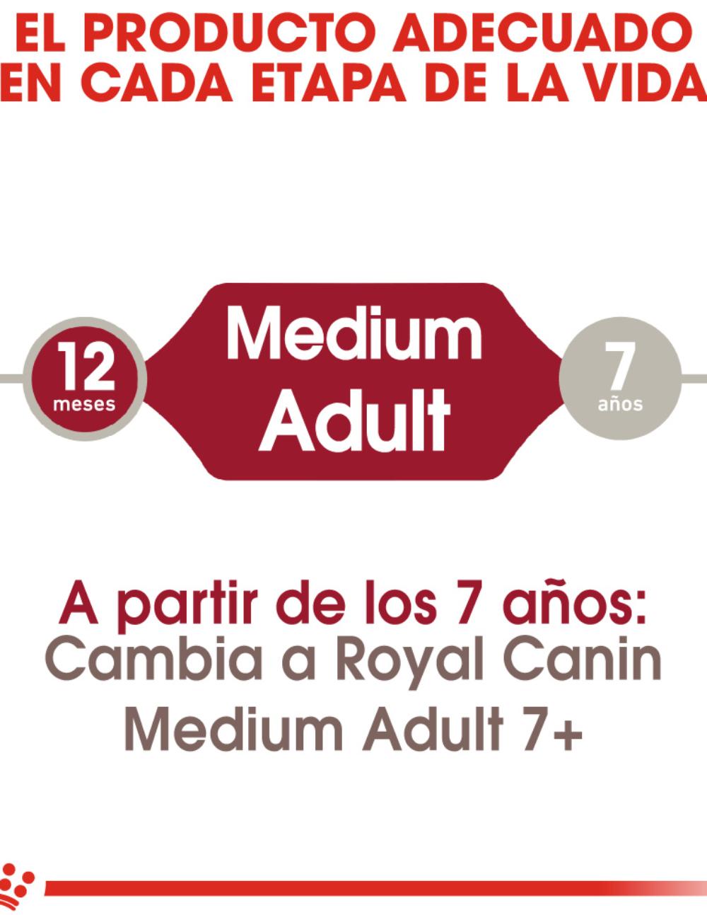 paratumascota.shop - Perros - Alimentacin - ROYAL CANIN MEDIUM ADULT - Foto 4