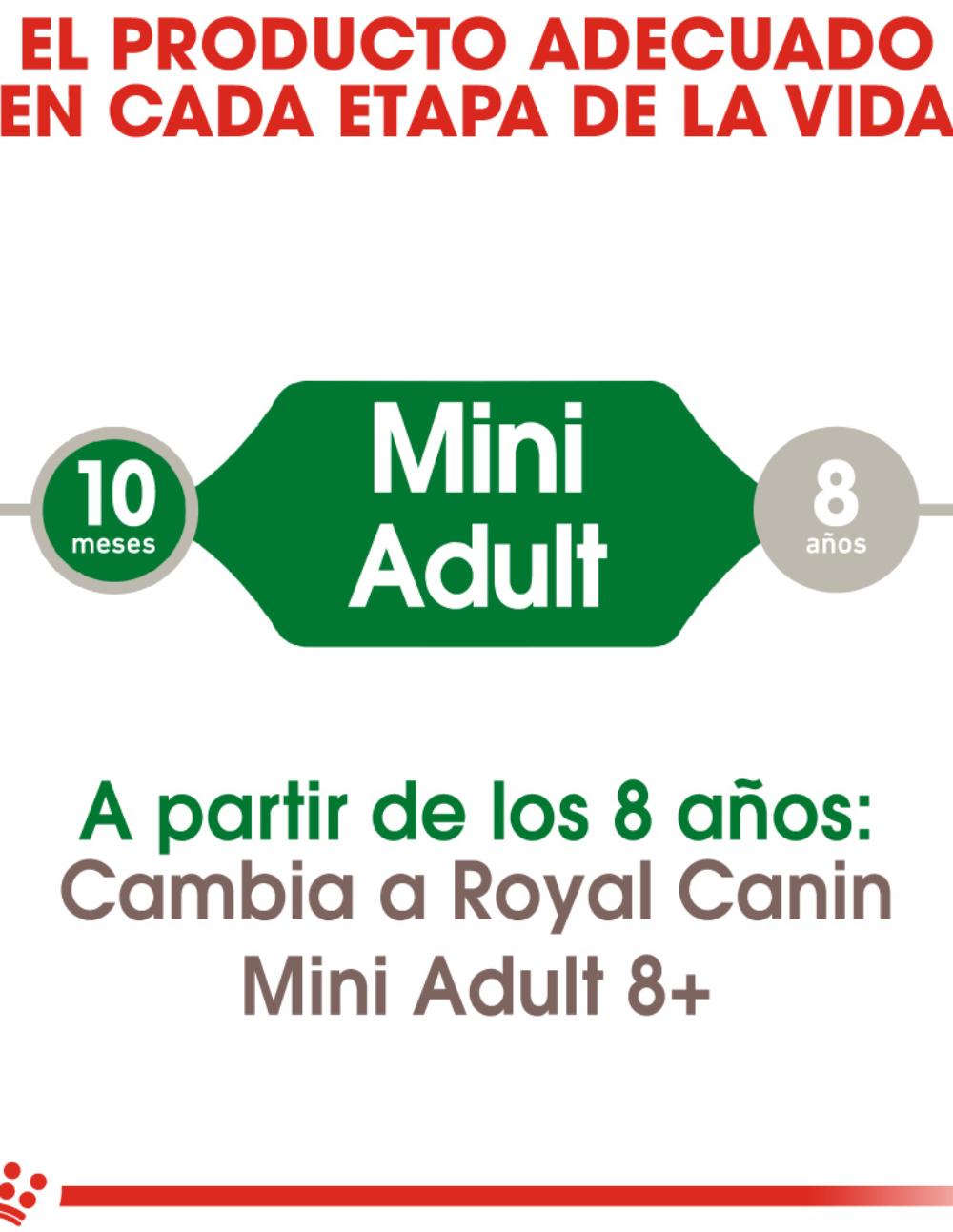 paratumascota.shop - Perros - Alimentacin - ROYAL CANIN MINI ADULT - Foto 4