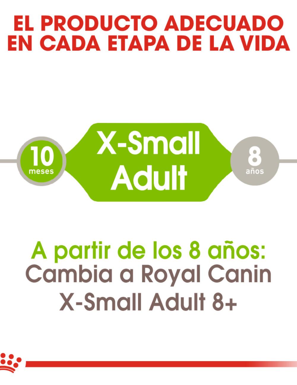 paratumascota.shop - Perros - Alimentacin - ROYAL CANIN X-SMALL - Foto 4