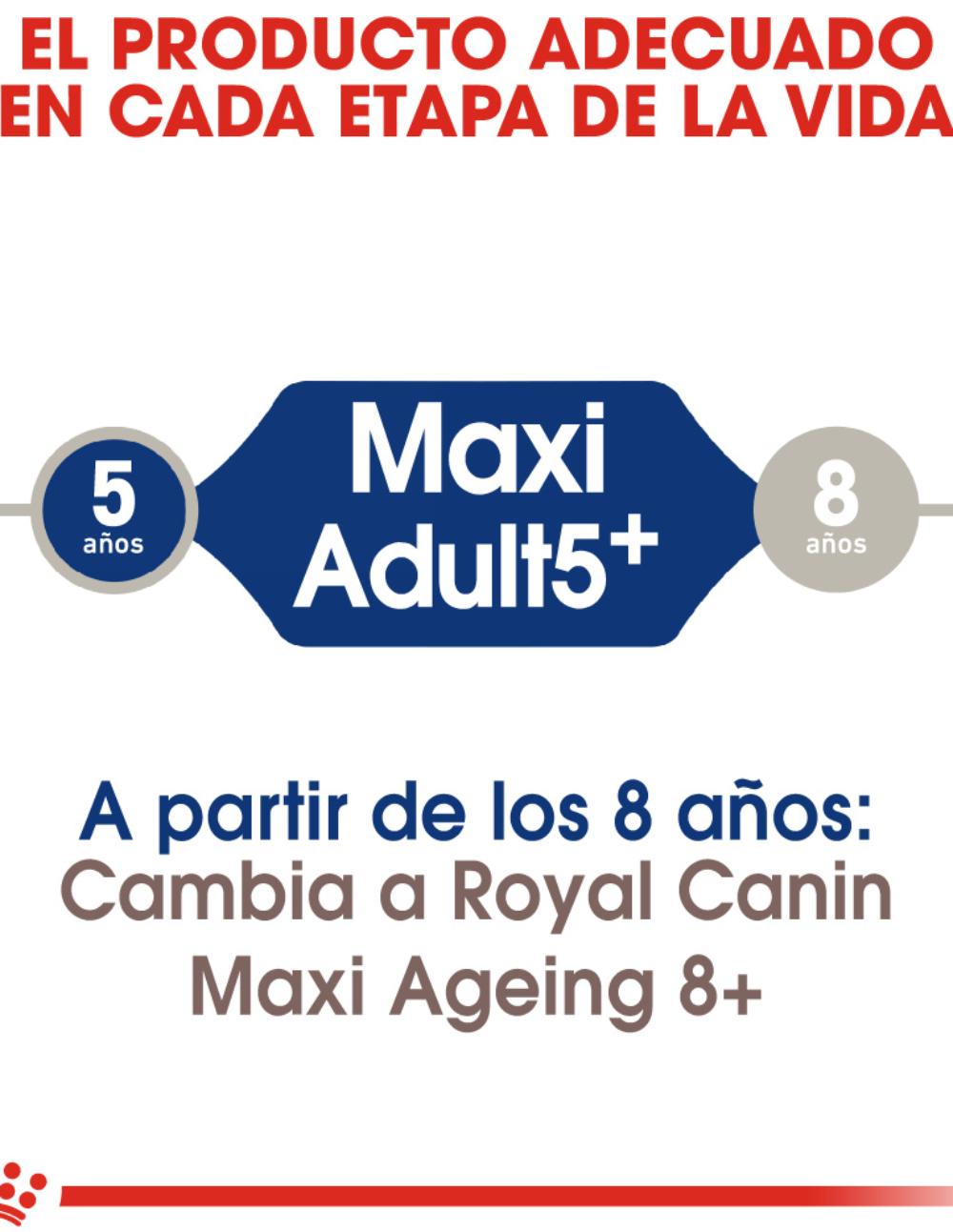 paratumascota.shop - Perros - Alimentacin - ROYAL CANIN MAXI ADULT 5+ (15KG) - Foto 4