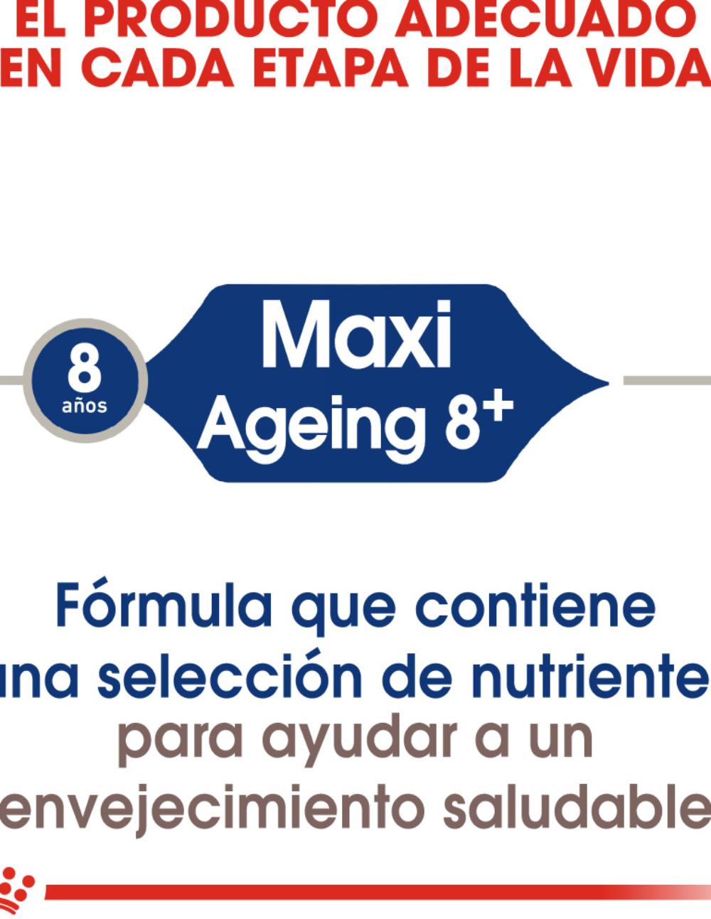 paratumascota.shop - Perros - Alimentacin - ROYAL CANIN MAXI AGEING (15KG) - Foto 4