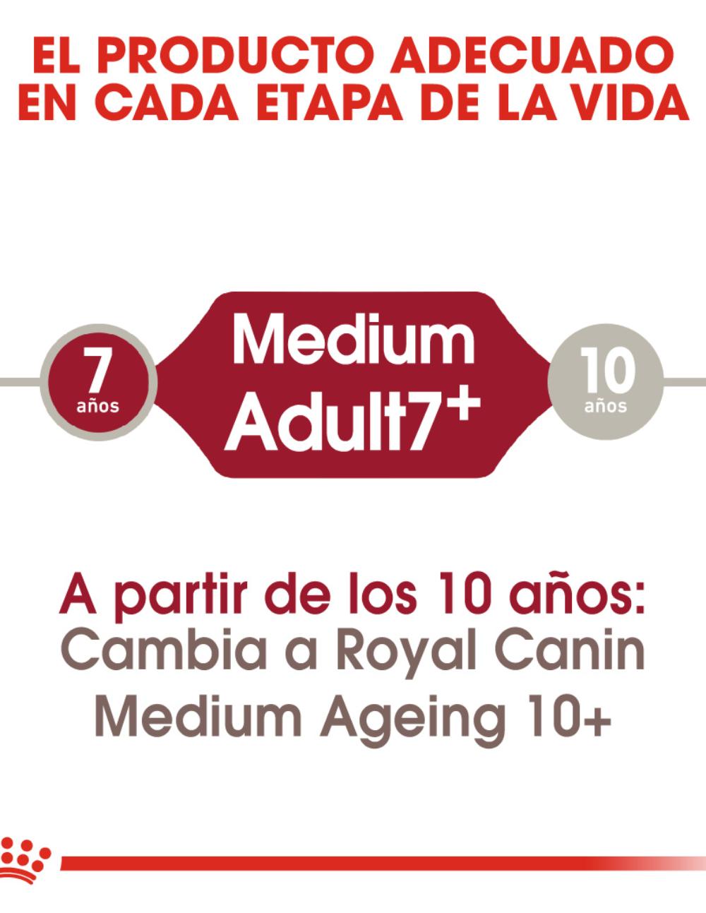 paratumascota.shop - Perros - Alimentacin - ROYAL CANIN MEDIUM ADULT +7 - Foto 4