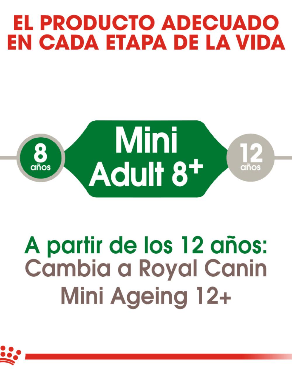 paratumascota.shop - Perros - Alimentacin - ROYAL CANIN MINI ADULT +8 - Foto 4